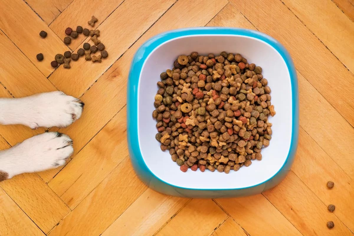 Organic Chicken Treats