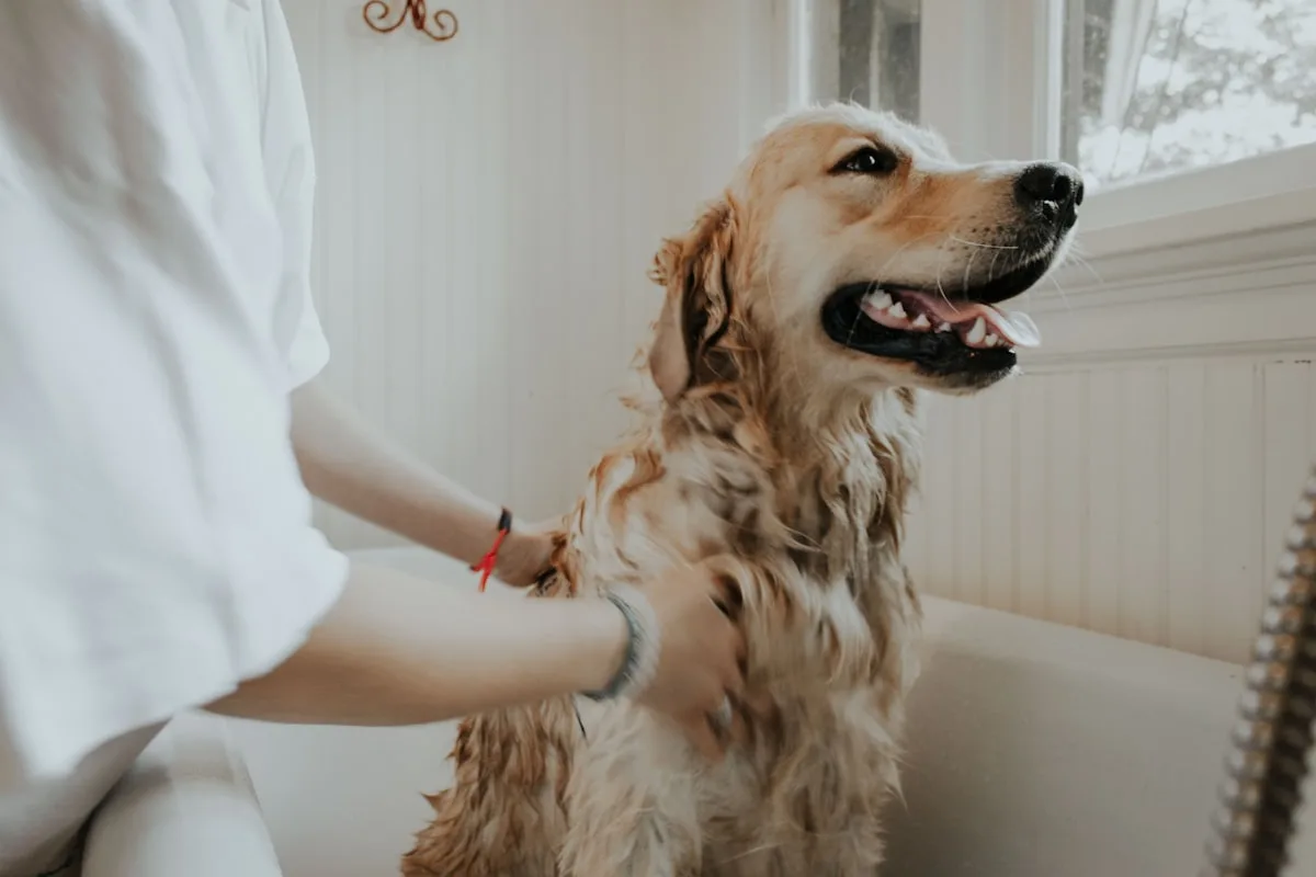Gentle Puppy Shampoo